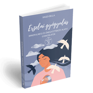 Érzelmi gyógyulás könyv