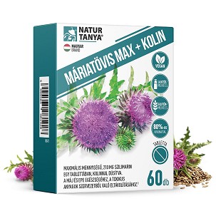 Natur Tanya® Máriatövis Max + Kolin kapszula – 60 db